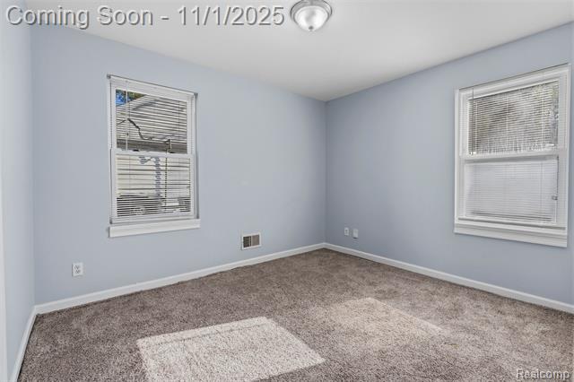 Builiding view thirteen for 10721 Troy, Oak Park, MI. 48237