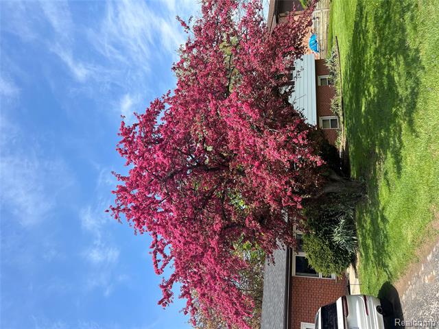 Builiding view forty one for 24361 Glenda, Novi, MI. 48375