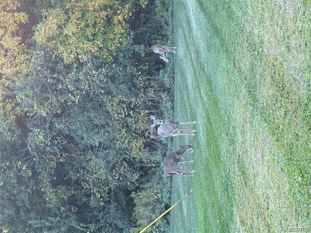 Builiding view forty for 24361 Glenda, Novi, MI. 48375