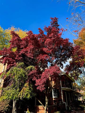 Builiding view fifty six for 1003 Bedford, Grosse Pointe, MI. 48230