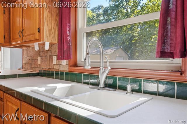 Builiding view twenty two for 22733 Sumpter, Belleville, MI. 48111