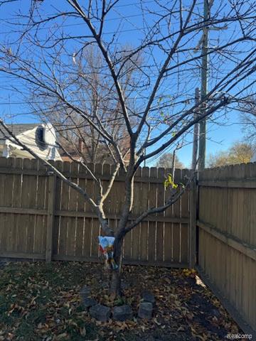 Builiding view seven for 23704 Couzens, Hazel Park, MI. 48030