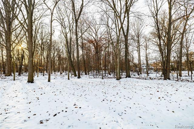 Builiding view three for 22015 Ember, Grosse Ile, MI. 48138