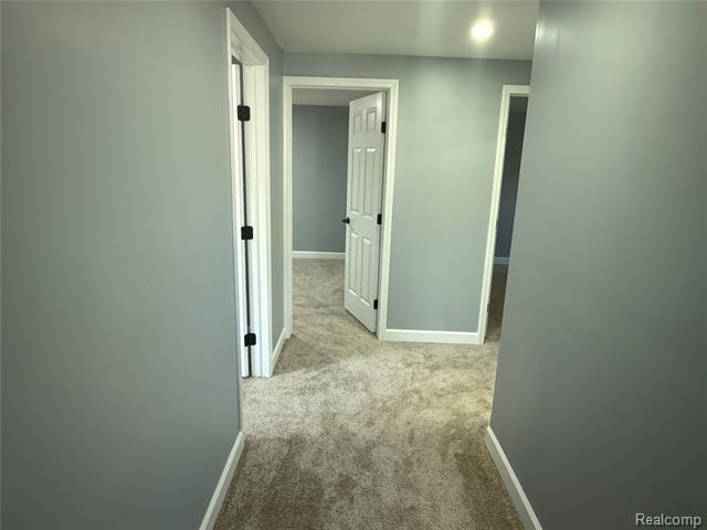 Builiding view twenty two for 20698 Coachwood, Riverview, MI. 48193