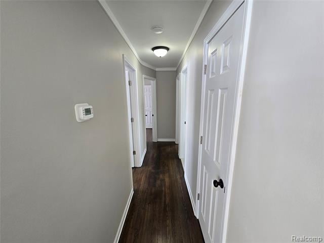 Builiding view five for 816 London, Lincoln Park, MI. 48146