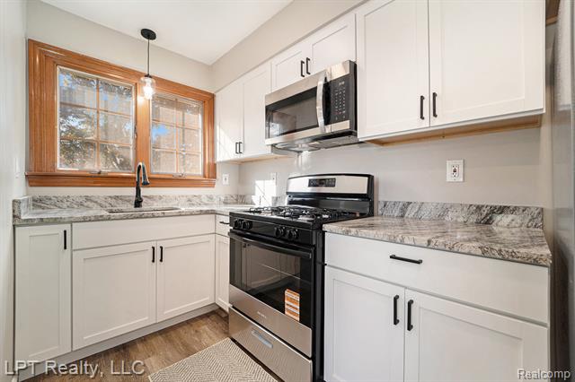 Builiding view ten for 16546 Philomene, Allen Park, MI. 48101