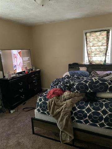 Builiding view eight for 3756 19Th, Ecorse, MI. 48229