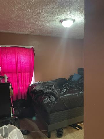 Builiding view eleven for 3756 19Th, Ecorse, MI. 48229