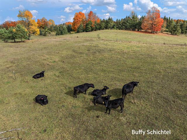 Builiding view sixty seven for 20017 7 Mile, Reed City, MI. 49677