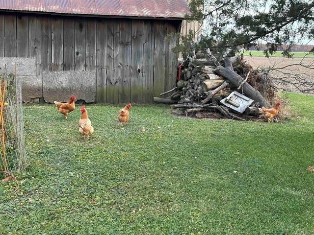 Builiding view fifteen for 5821 Dixon, Vassar, MI. 48768