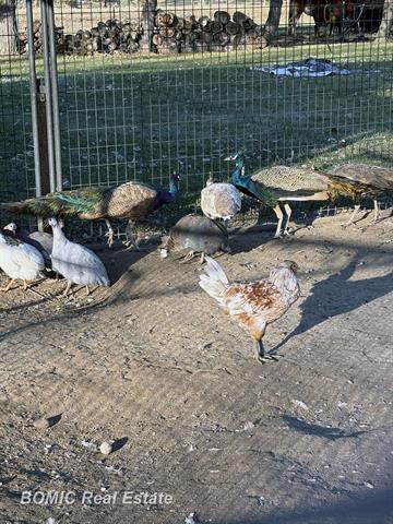 Builiding view thirty one for 14185 Taylor, Millington, MI. 48746