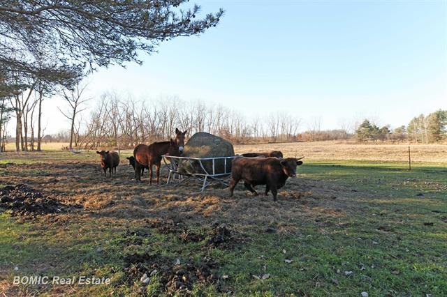 Builiding view thirty two for 14185 Taylor, Millington, MI. 48746