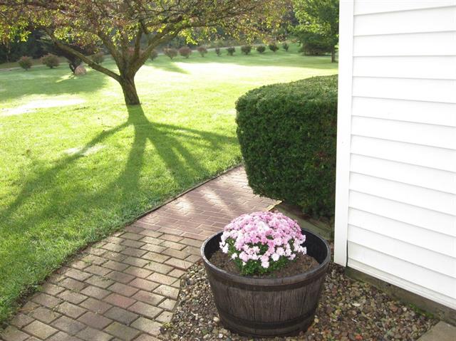 Builiding view forty four for 4975 Westwind, Dexter, MI. 48130