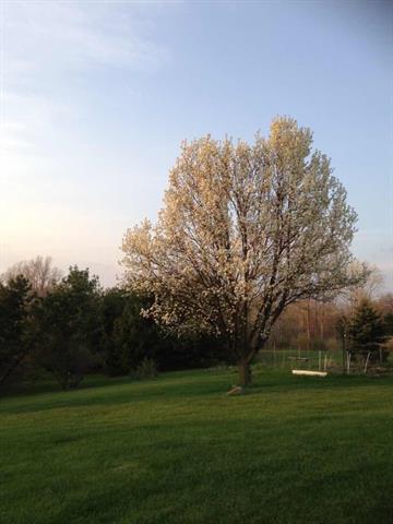 Builiding view forty for 4975 Westwind, Dexter, MI. 48130