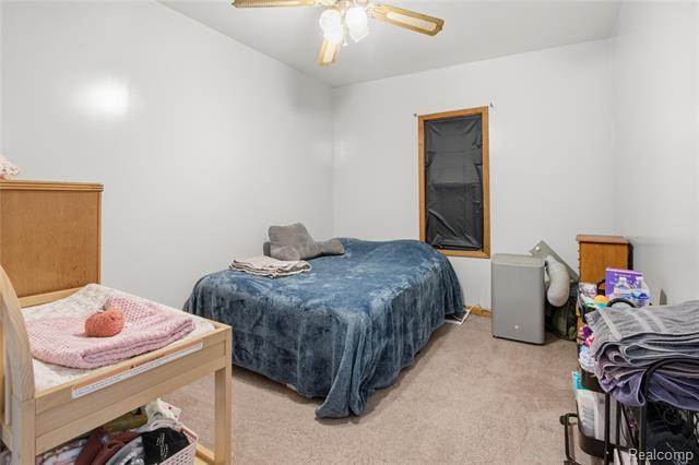 Builiding view seventeen for 8961 Brockway, Yale, MI. 48097