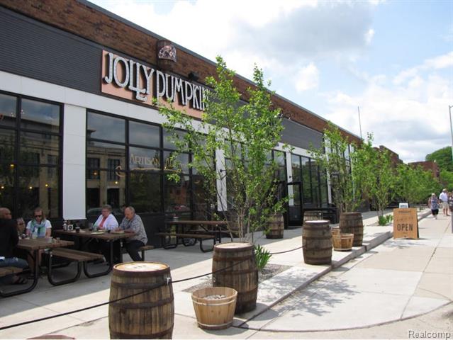 Builiding view thirty one for 438 Selden, Detroit, MI. 48201