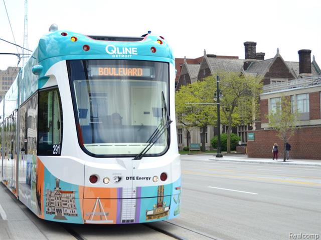 Builiding view twenty eight for 438 Selden, Detroit, MI. 48201