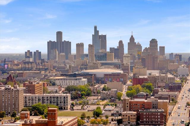 Builiding view twenty six for 438 Selden, Detroit, MI. 48201