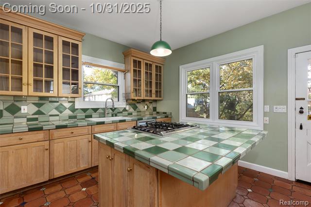 Builiding view eight for 338 W Harrison, Royal Oak, MI. 48067