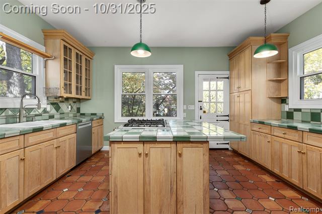 Builiding view seven for 338 W Harrison, Royal Oak, MI. 48067