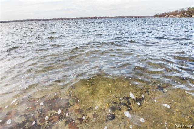 Builiding view twelve for 9109 Mcgregor, Pinckney, MI. 48169