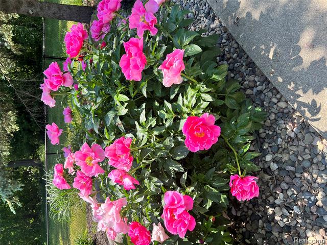 Builiding view forty for 14017 Belsay, Millington, MI. 48746