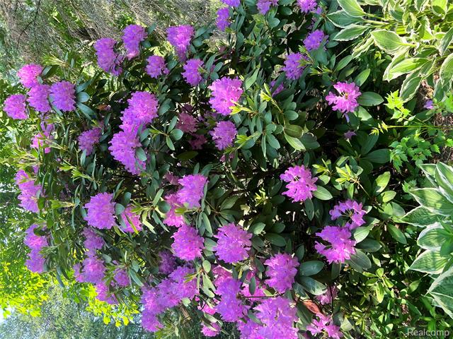 Builiding view thirty eight for 14017 Belsay, Millington, MI. 48746