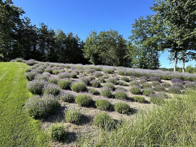 Builiding view fifty nine for 16527 Lake Michigan, West Olive, MI. 49460