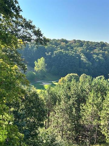 Builiding view thirty two for 5830 Shanty Creek Rd, Bellaire, MI. 49615