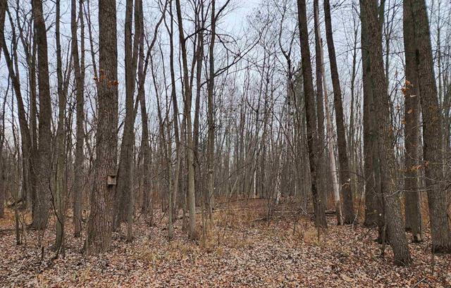 Builiding view nine for 3400 Sturgeon Rd, Midland, MI. 48640