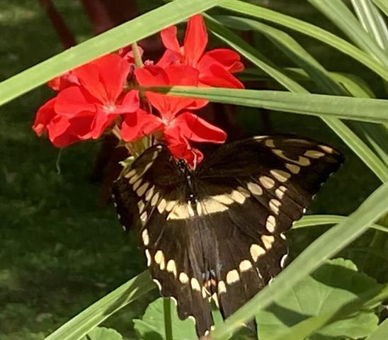 Builiding view sixty five for 3400 Sturgeon Rd, Midland, MI. 48640