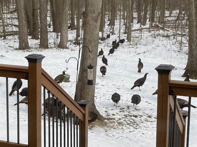 Builiding view sixty six for 3400 Sturgeon Rd, Midland, MI. 48640