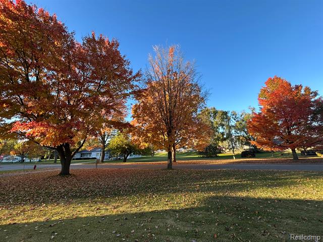 Builiding view twenty three for 921 Saginaw, Vassar, MI. 48768