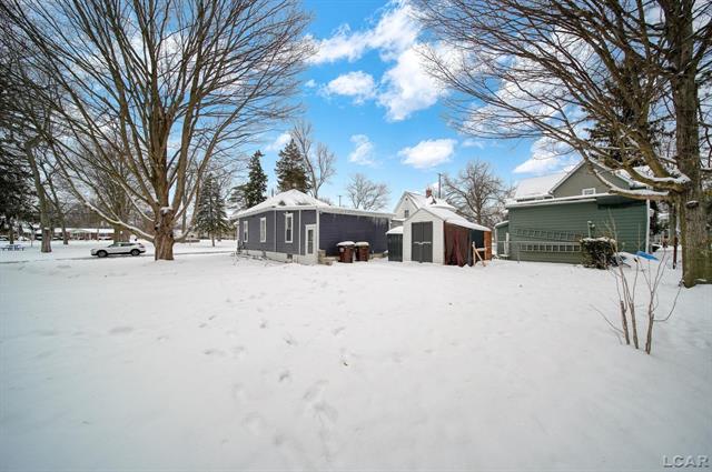 Builiding view twenty seven for 313 Rice, Adrian, MI. 49221