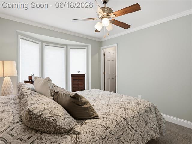Builiding view twenty one for 19020 Carmelo Dr., Clinton Township, MI. 48038