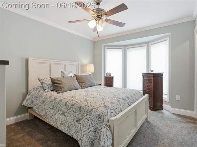 Builiding view twenty for 19020 Carmelo Dr., Clinton Township, MI. 48038