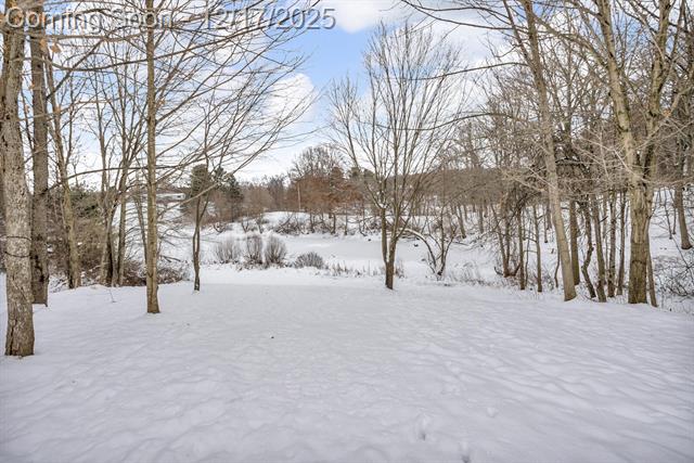 Builiding view seventy four for 1395 Lacey Lake, Charlotte, MI. 48813