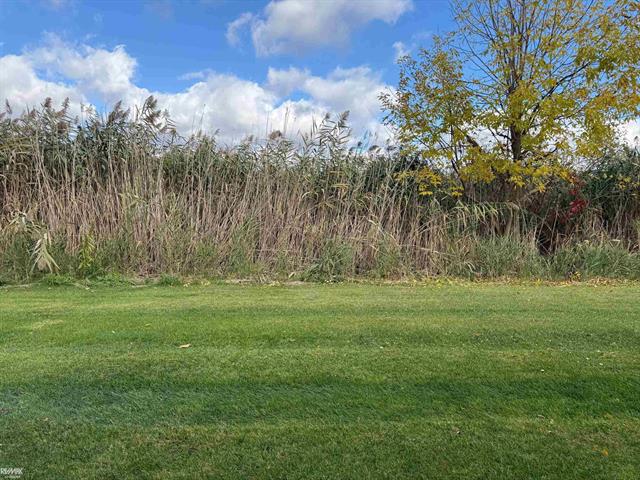 Builiding view thirty six for 35037 Windsor, New Baltimore, MI. 48047