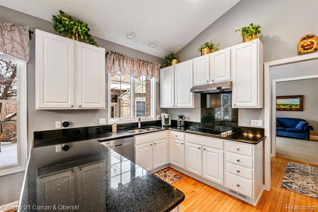 Builiding view twenty for 16925 Lochmoor Circle East, Northville, MI. 48168