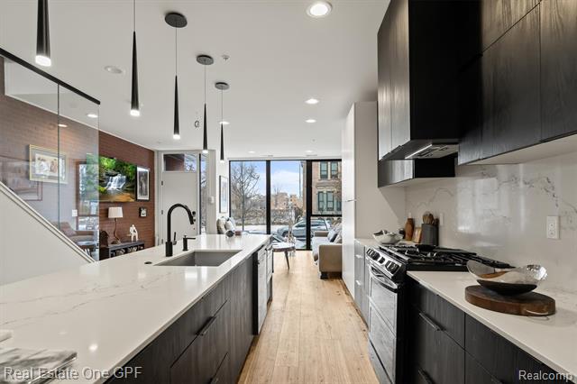 Builiding view seven for 228 Edmund, Detroit, MI. 48201