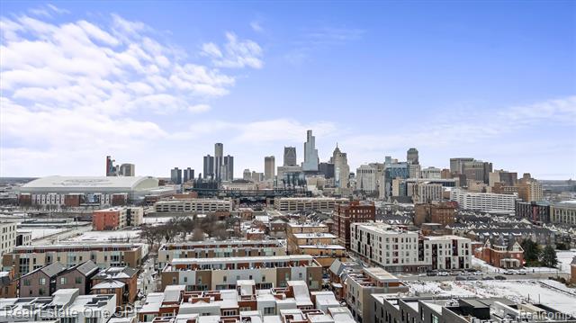 Builiding view thirty for 228 Edmund, Detroit, MI. 48201