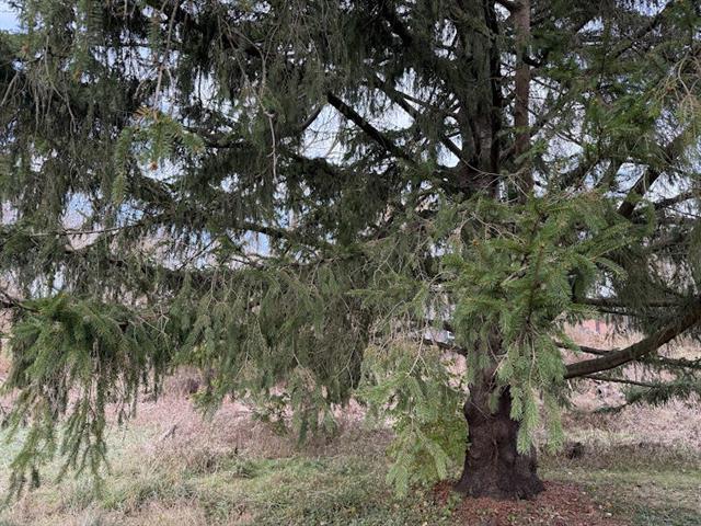 Builiding view eighteen for 4901 Munger, Ypsilanti, MI. 48197