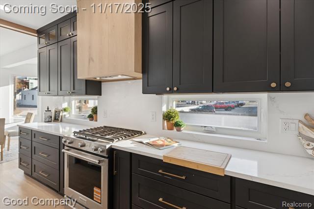 Builiding view nine for 125 N Washington, Royal Oak, MI. 48067