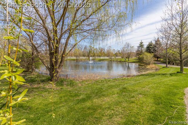 Builiding view forty three for 13819 Christina, Belleville, MI. 48111