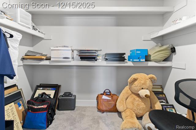 Builiding view twenty nine for 13819 Christina, Belleville, MI. 48111