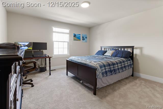 Builiding view twenty seven for 13819 Christina, Belleville, MI. 48111