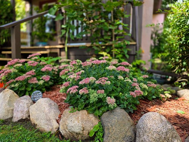 Builiding view twenty nine for 1017 Perry St, Flint, MI. 48504