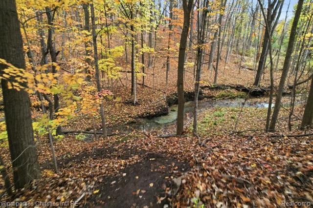 Builiding view five for 23460 Coventry Woods, Southfield, MI. 48034