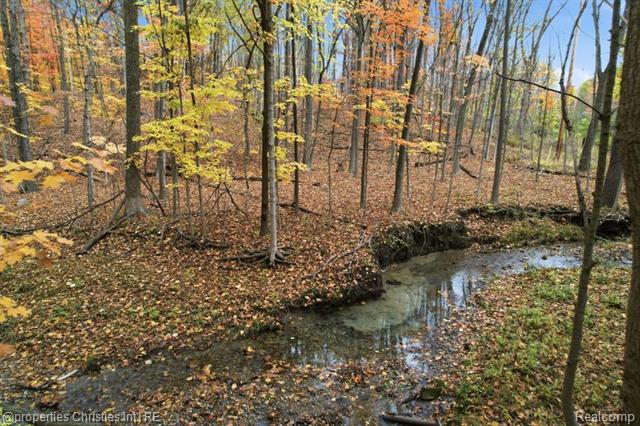 Builiding view six for 23460 Coventry Woods, Southfield, MI. 48034