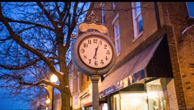 Builiding view twenty for 284 Saint Clair, Romeo, MI. 48065